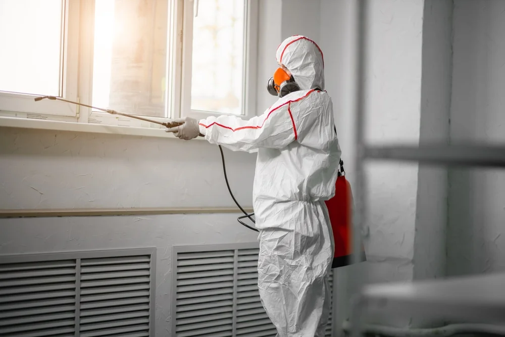 Professional mold remediation services in Denville, NJ